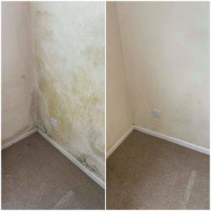 received_166794517916971 received_166794517916971