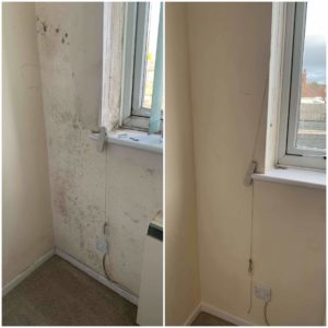 received_195108228348579 received_195108228348579