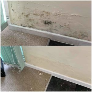 received_2772294672862811 received_2772294672862811