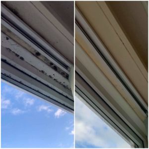 received_478800272996245 received_478800272996245