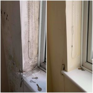 received_636480753847220 received_636480753847220